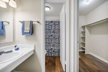 A bathroom with a white sink and a blue and white shower curtain at Peachtree Place Apartments, Columbia